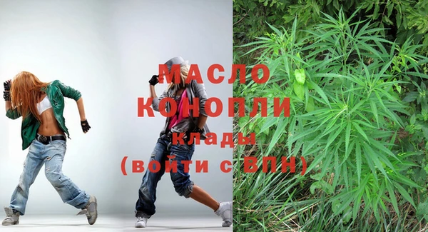 тгк Бородино