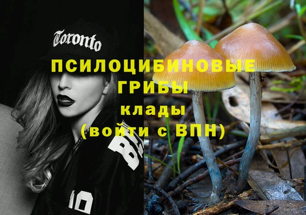 марки nbome Богородицк