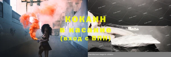 стаф Богданович