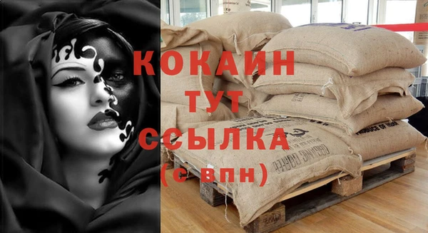 тгк Бородино