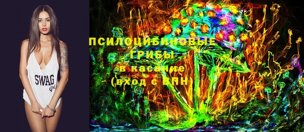 тгк Бородино