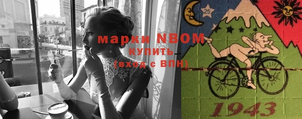тгк Бородино