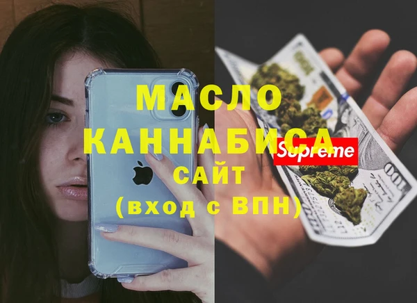 тгк Бородино